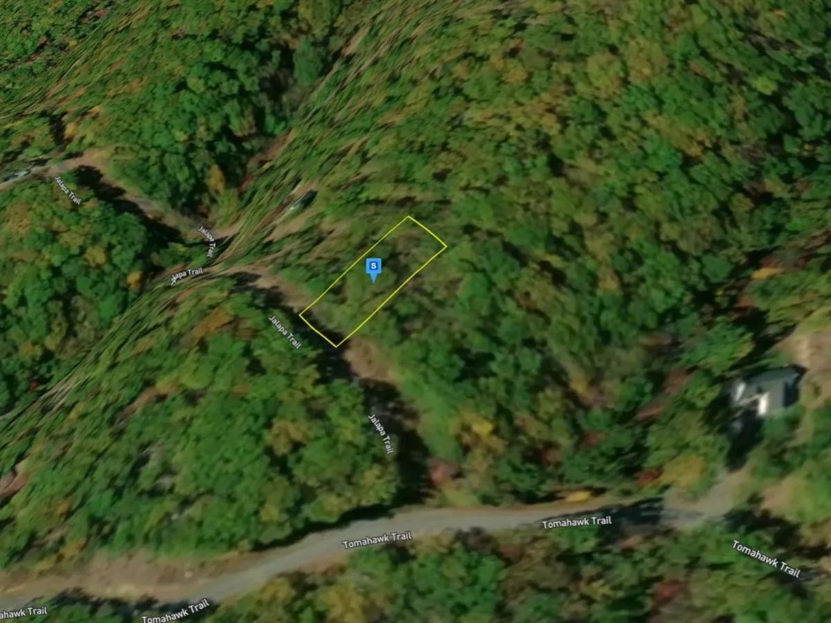 Decorative background for 0.27 Acres with Owner Financing and $3,380 down in Frederick County Virginia! image 6