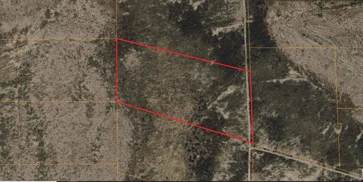20 Acres with Owner Financing and $2,490 down in Hudspeth County Texas! - Main image