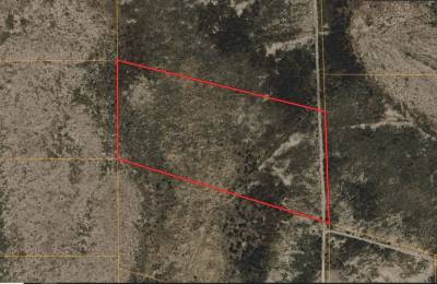 20 Acres with Owner Financing and $2,490 down in Hudspeth County Texas!