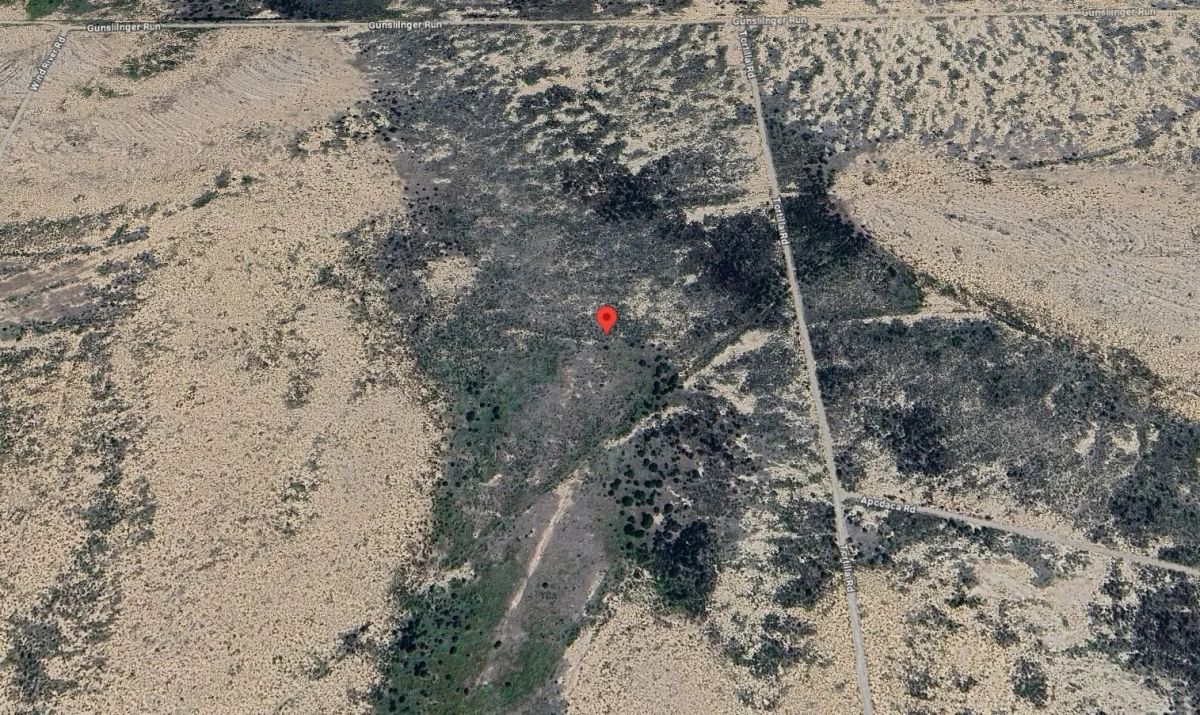 20 Acres with Owner Financing and $2,490 down in Hudspeth County Texas! - Image 3