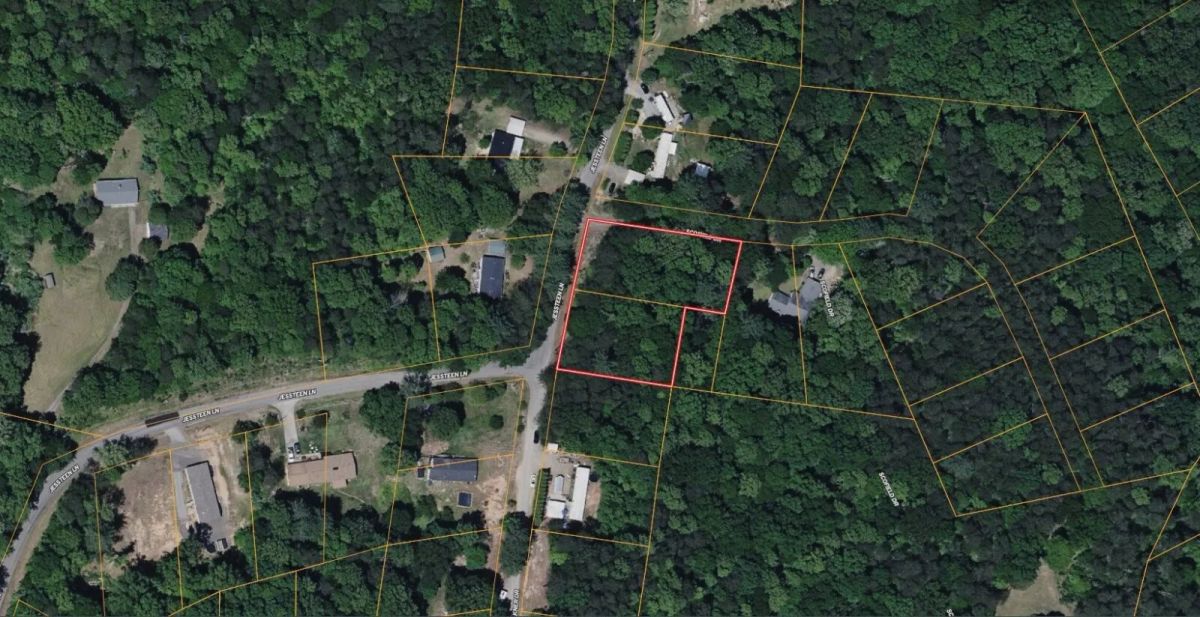 0.79-Acre Wooded Homesite Lot with Power on State-Maintained Jessteen Lane – Bassett, Henry County, VA - Image 3