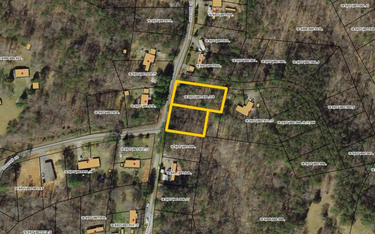 Decorative background for 0.79-Acre Wooded Homesite Lot with Power on State-Maintained Jessteen Lane – Bassett, Henry County, VA image 5