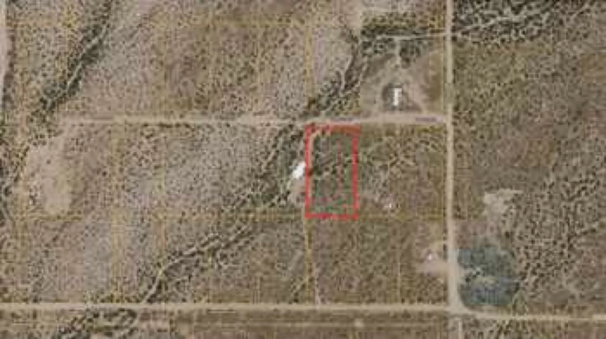1.14 Acres with Owner Financing and $345 down in Mohave County Arizona! - Image 2