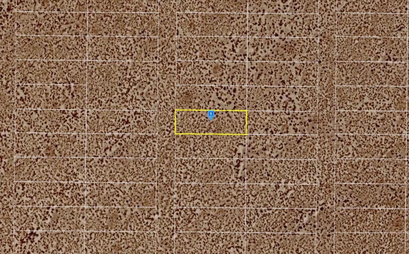 0.17 Acres with Owner Financing and $99.95 down in Saguache County Colorado! in Saguache County, CO
