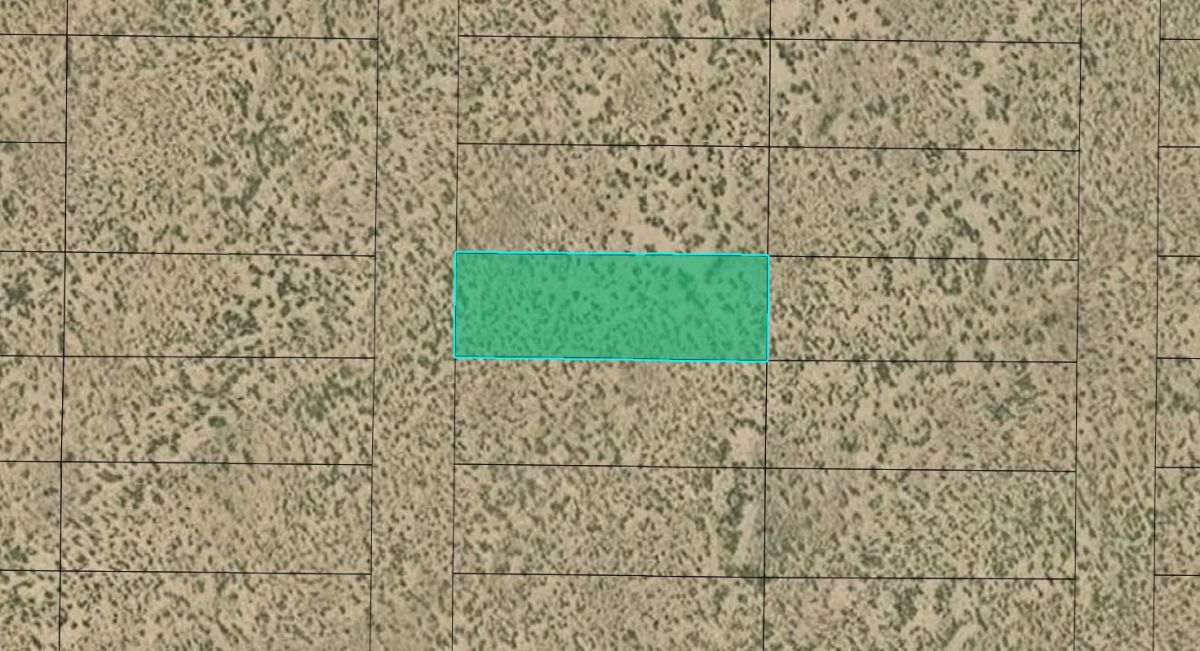 0.17 Acres with Owner Financing and $99.95 down in Saguache County Colorado! - Image 3