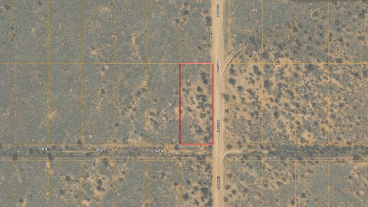 0.83 Acres with Owner Financing and $150 down in Cochise County Arizona! - Main image