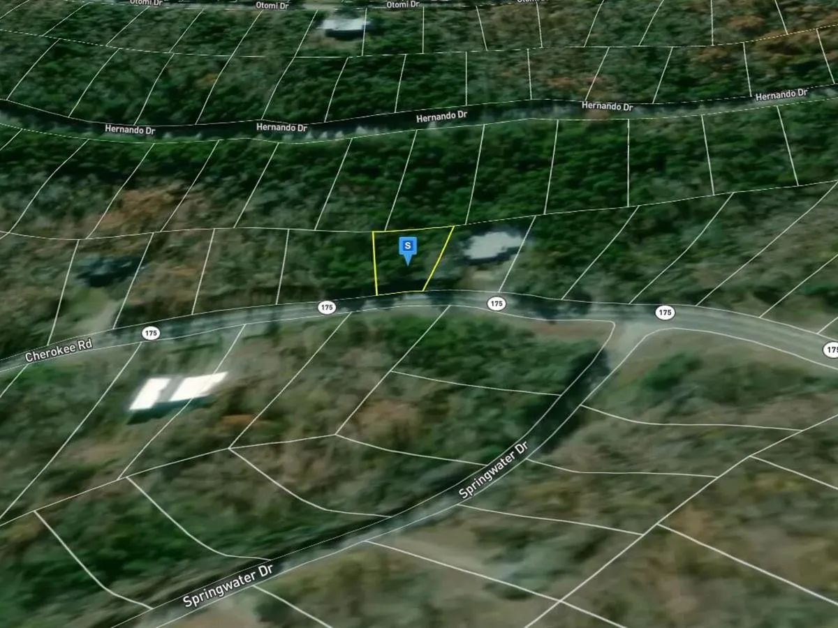 0.2 Acres with Owner Financing and $174.95 down in Sharp County Arkansas! - Image 3