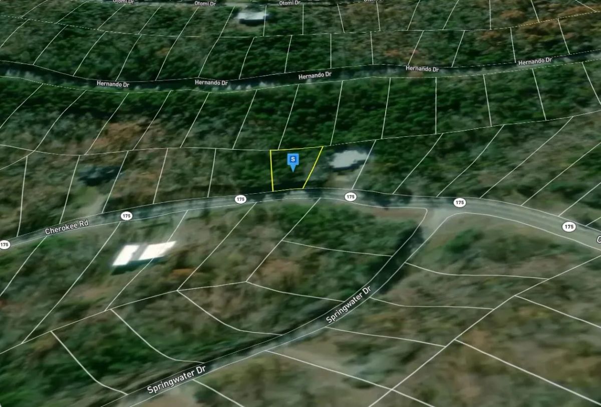 0.2 Acres with Owner Financing and $174.95 down in Sharp County Arkansas! - Image 4