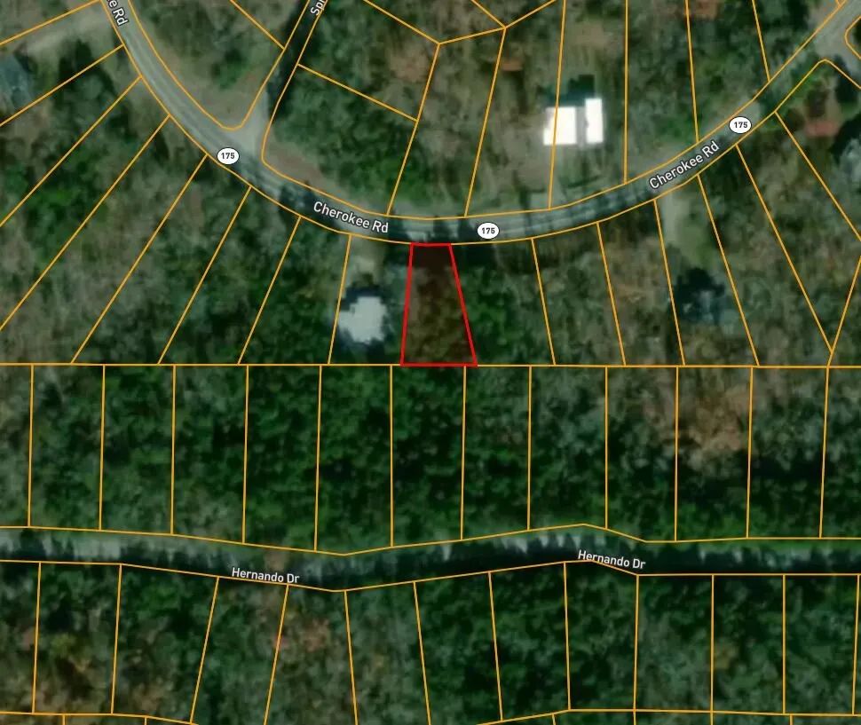Decorative background for 0.2 Acres with Owner Financing and $174.95 down in Sharp County Arkansas! image 5