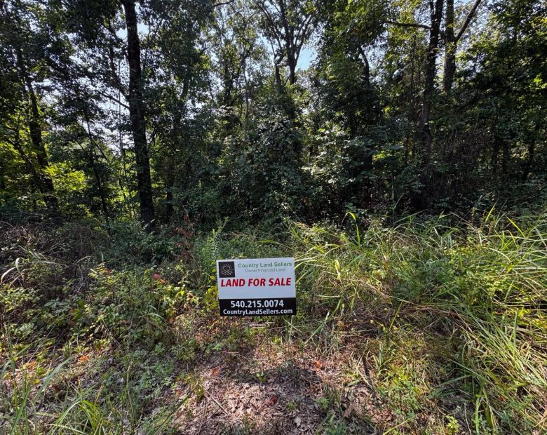 0.14 Acres with Owner Financing and $299 down in Taney County Missouri! in Taney County, MO