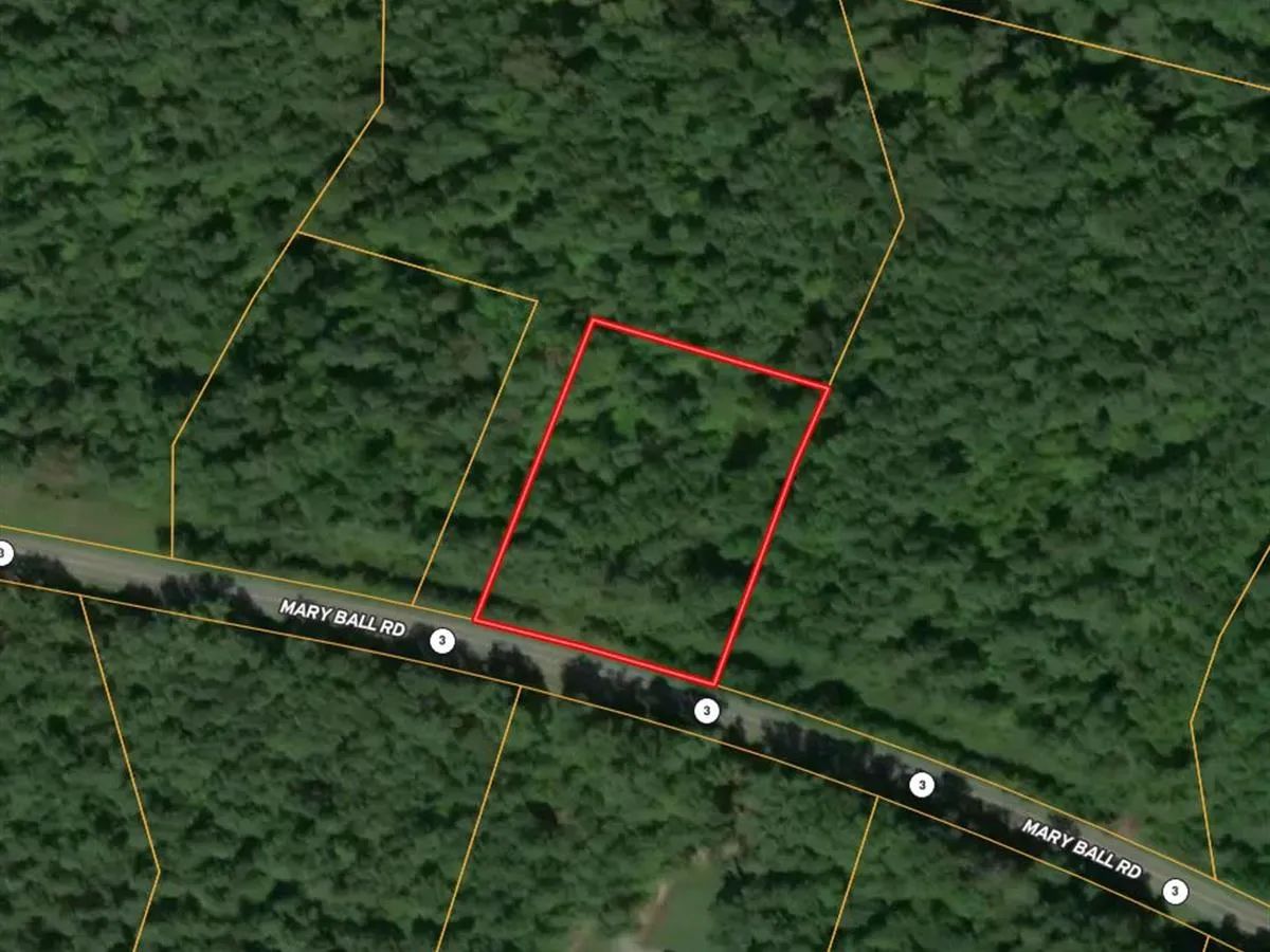 Decorative background for 2.217 Acres with Owner Financing and $2,990 down in Lancaster County Virginia! image 6
