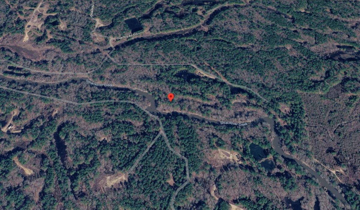 2.3 Acres with Owner Financing and $500 down in Ouachita County Arkansas! - Main image