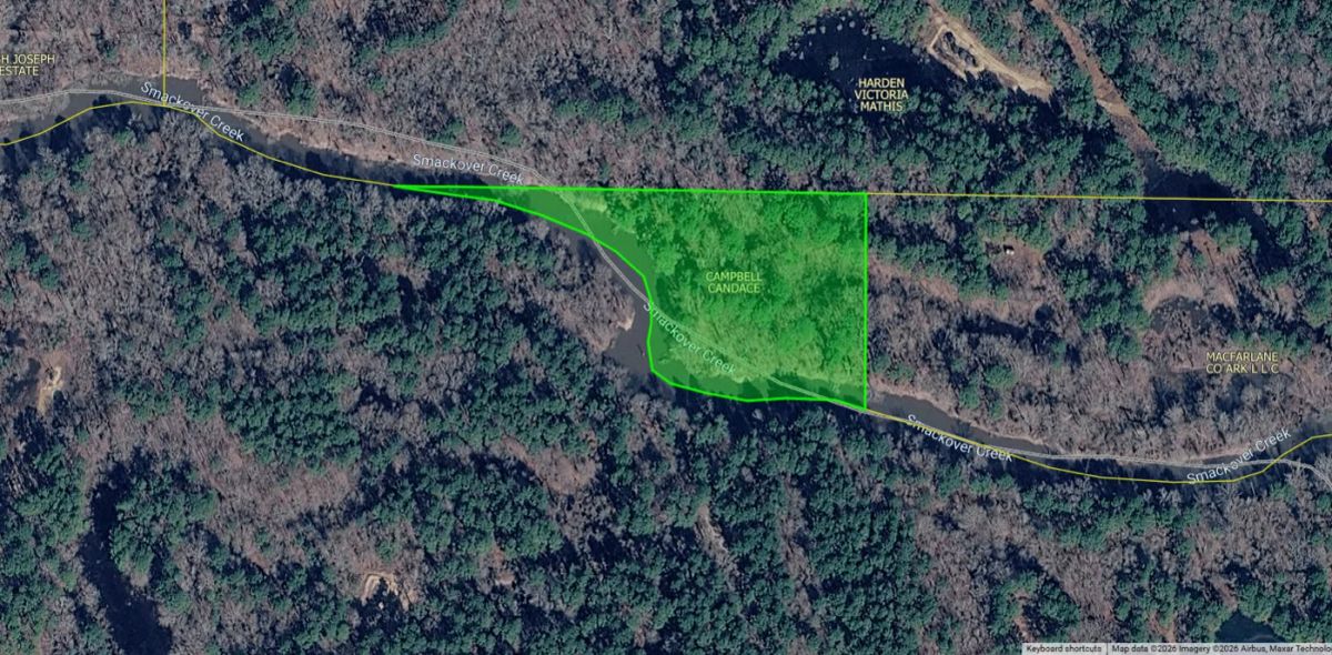 2.3 Acres with Owner Financing and $500 down in Ouachita County Arkansas! - Image 2