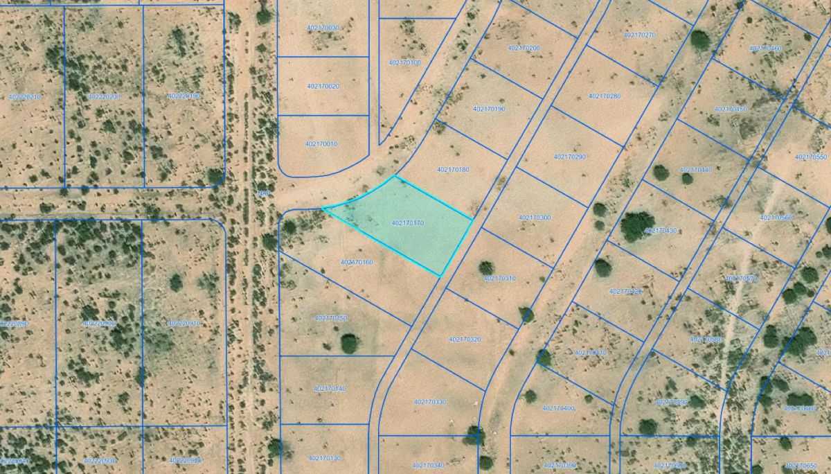0.39 Acres with Owner Financing and $295 down in Pinal County Arizona! - Main image