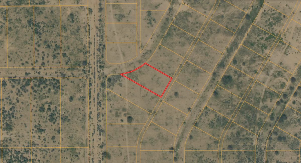 0.39 Acres with Owner Financing and $295 down in Pinal County Arizona! - Image 3
