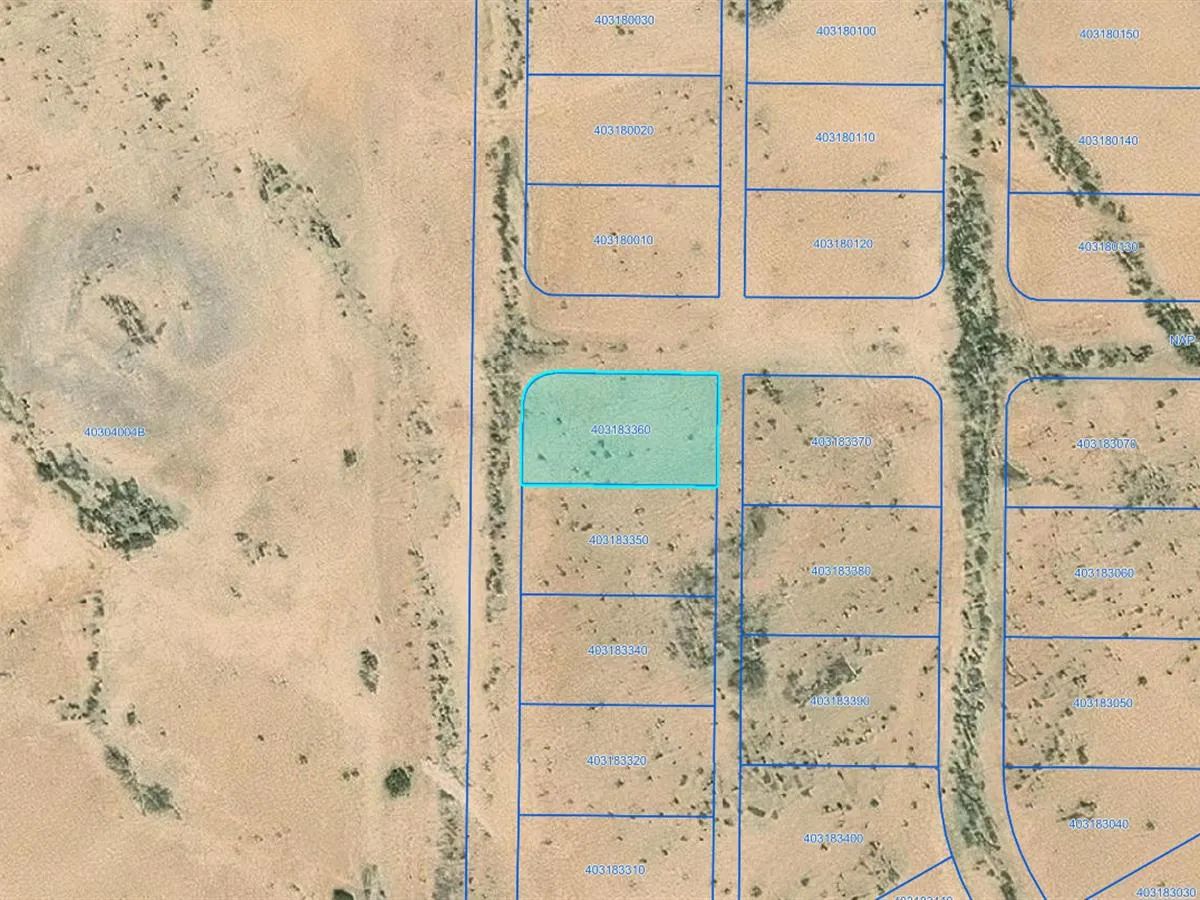 0.29 Acres with Owner Financing and $345 down in Pinal County Arizona! - Image 4