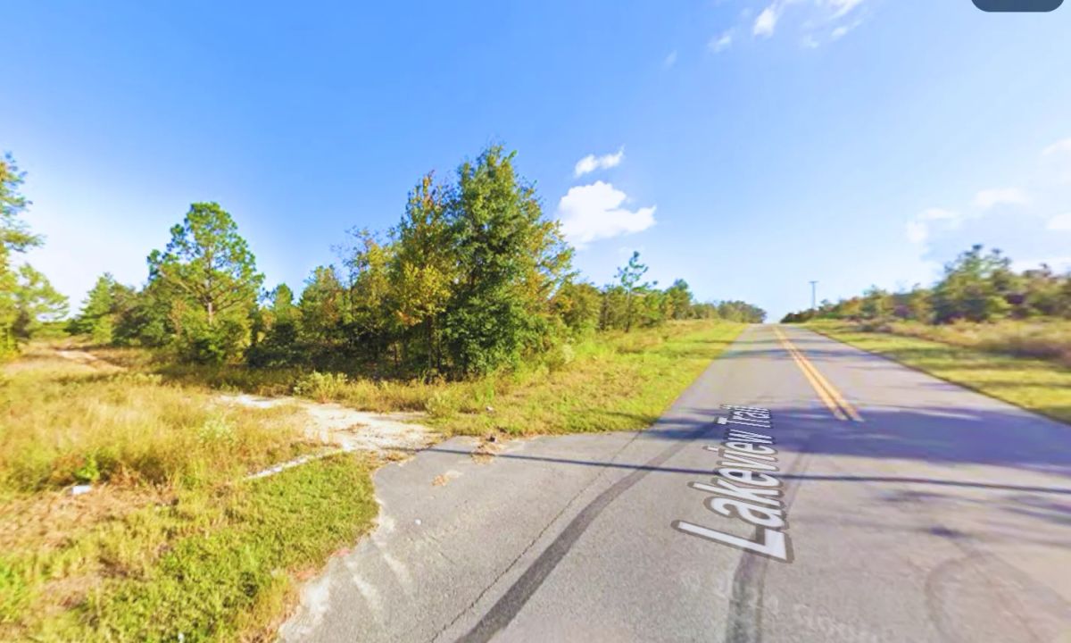 Decorative background for Build Near Florida's Lakes image 6