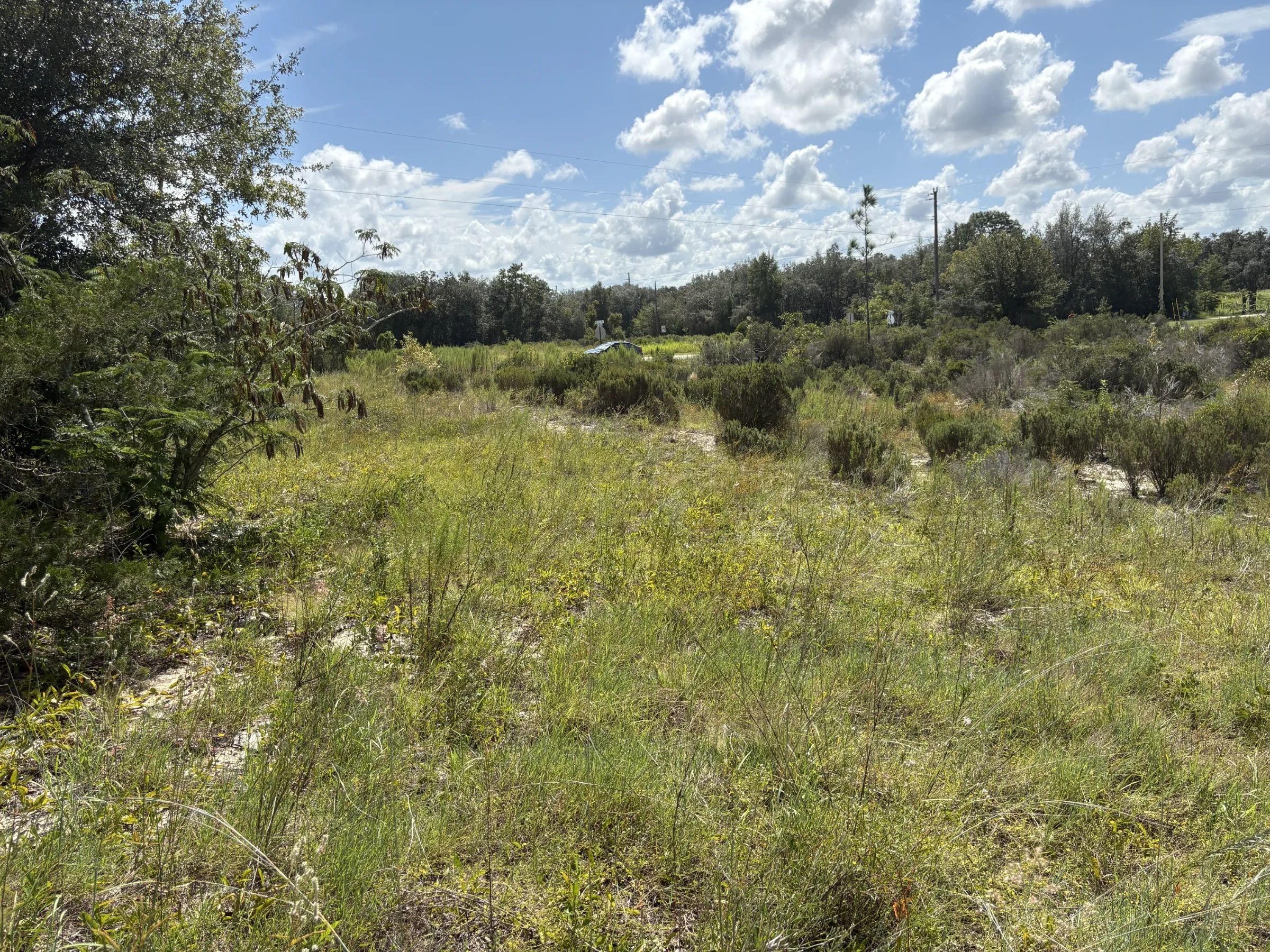 Prime Levy County, FL Outdoor Sportsman Lot for Sale Near World-Class Springs & Gulf Coast in Levy County, FL