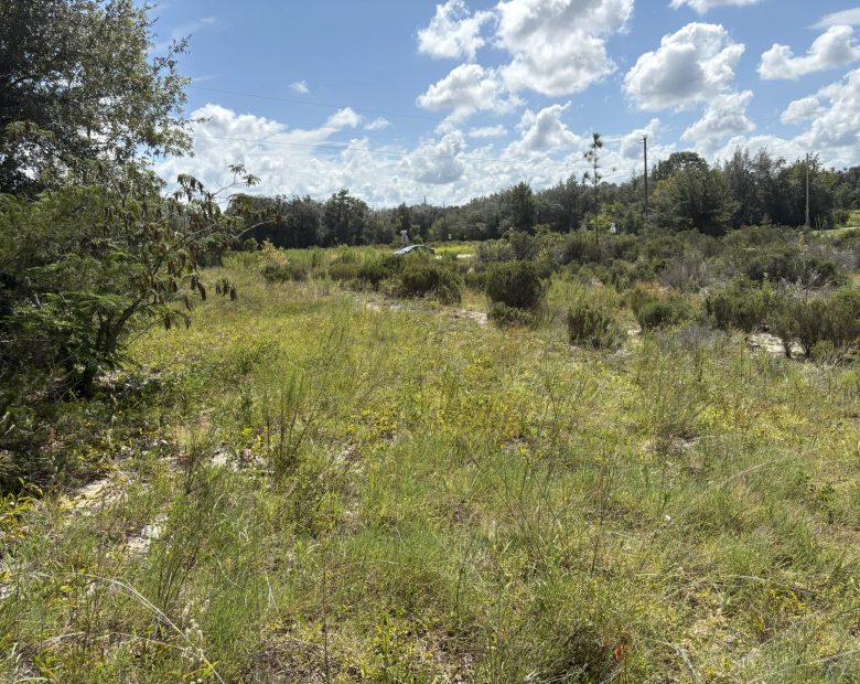 Prime Levy County, FL Outdoor Sportsman Lot for Sale Near World-Class Springs & Gulf Coast in Levy County, FL