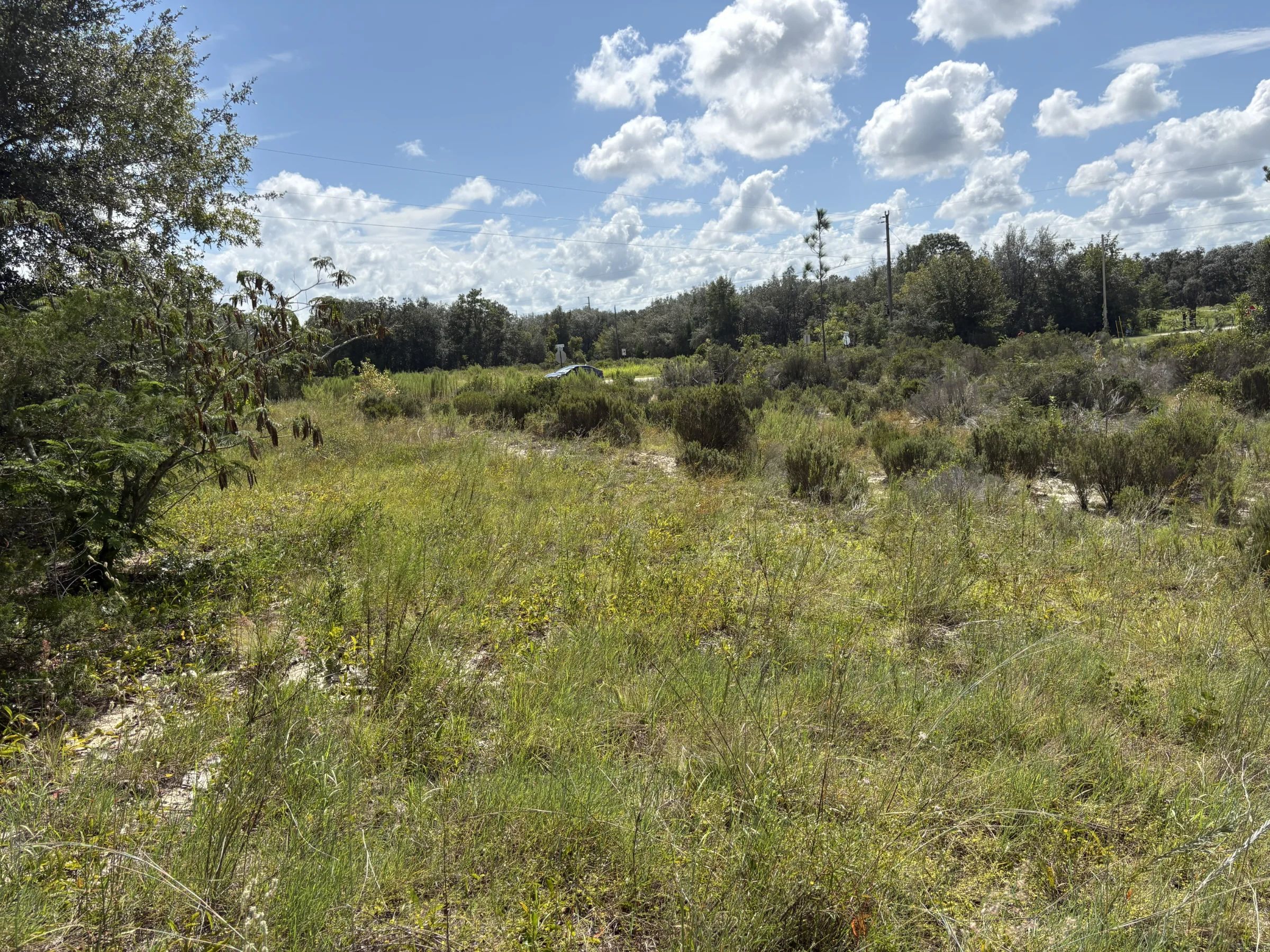 Prime Levy County, FL Outdoor Sportsman Lot for Sale Near World-Class Springs & Gulf Coast in Levy County, FL