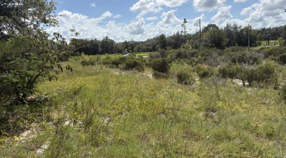 Prime Levy County, FL Outdoor Sportsman Lot for Sale Near World-Class Springs & Gulf Coast in Levy County, FL