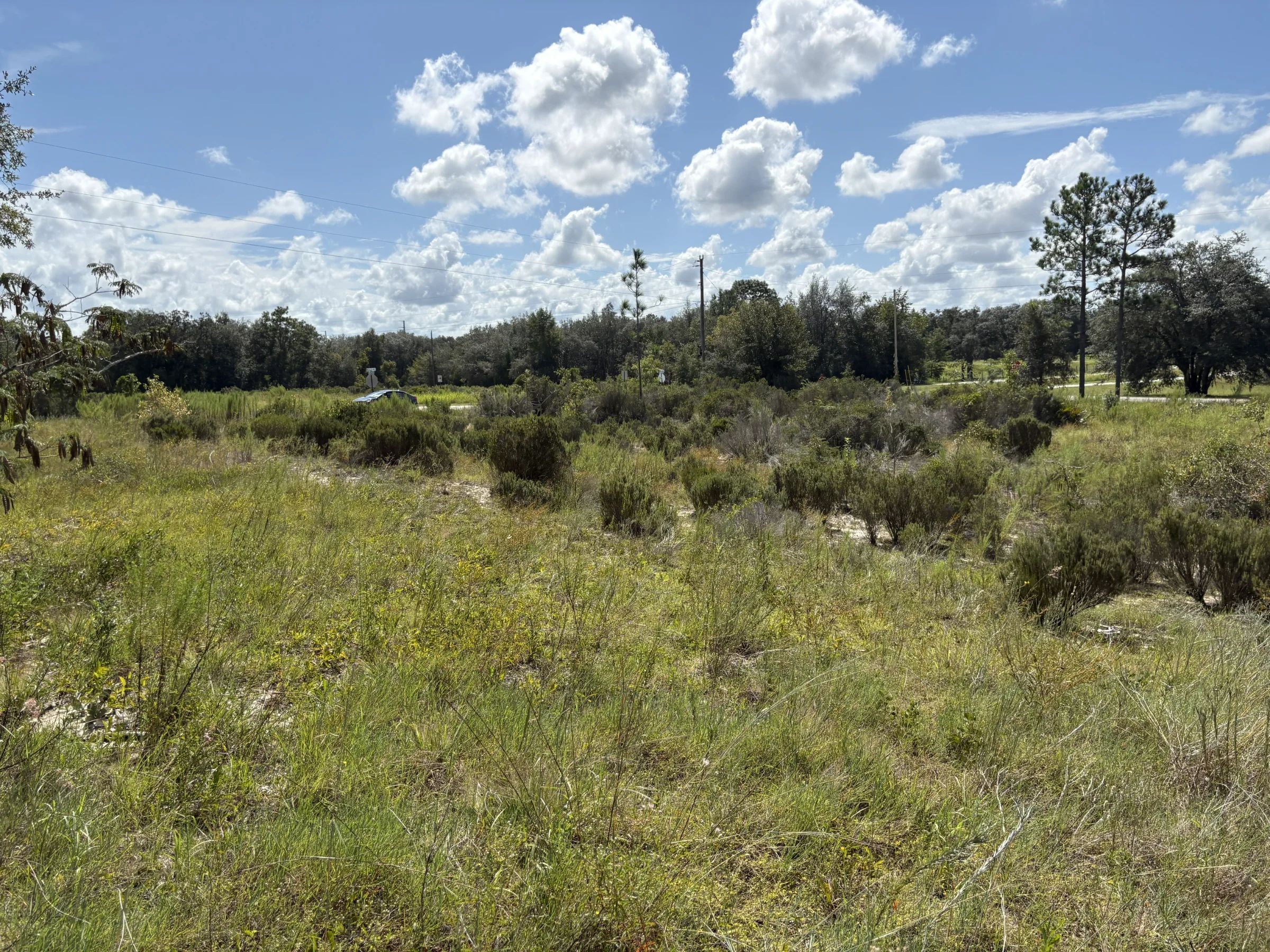 Prime Levy County, FL Outdoor Sportsman Lot for Sale Near World-Class Springs & Gulf Coast in Levy County, FL