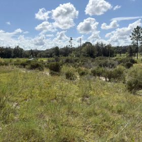 Prime Levy County, FL Outdoor Sportsman Lot for Sale Near World-Class Springs & Gulf Coast in Levy County, FL