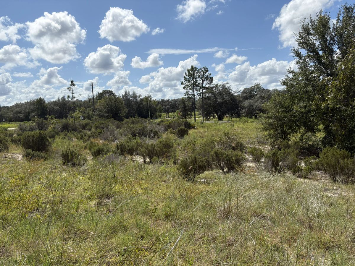 Prime Levy County, FL Outdoor Sportsman Lot for Sale Near World-Class Springs & Gulf Coast - Image 4