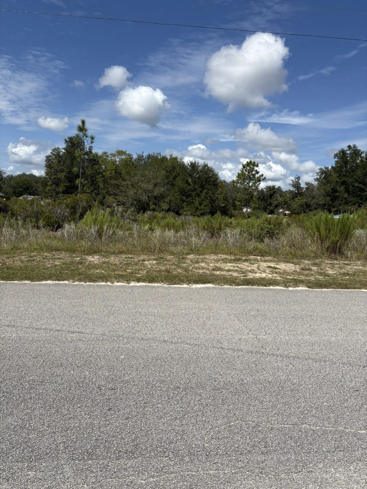 Decorative background for Prime Levy County, FL Outdoor Sportsman Lot for Sale Near World-Class Springs & Gulf Coast image 13