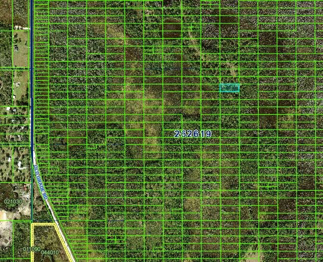 1 Acre Near Orlando & Tampa — A Low-Cost Land Investment for the Future - Image 2