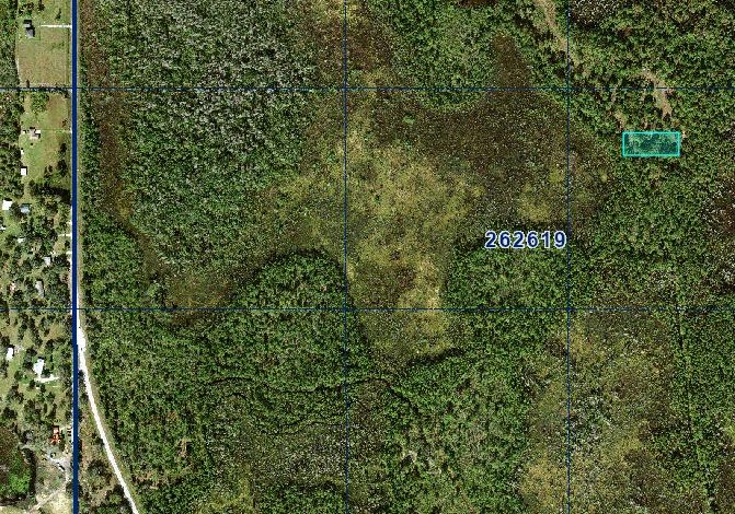1 Acre Near Orlando & Tampa — A Low-Cost Land Investment for the Future in Polk County, FL
