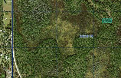 1 Acre Near Orlando & Tampa — A Low-Cost Land Investment for the Future