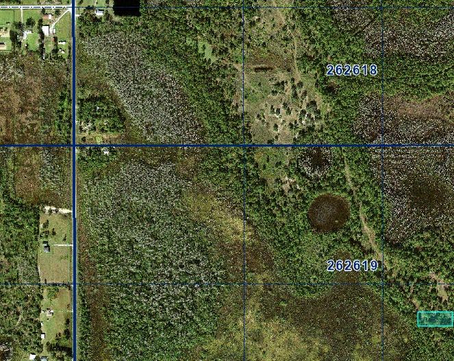 1 Acre Near Orlando & Tampa — A Low-Cost Land Investment for the Future in Polk County, FL