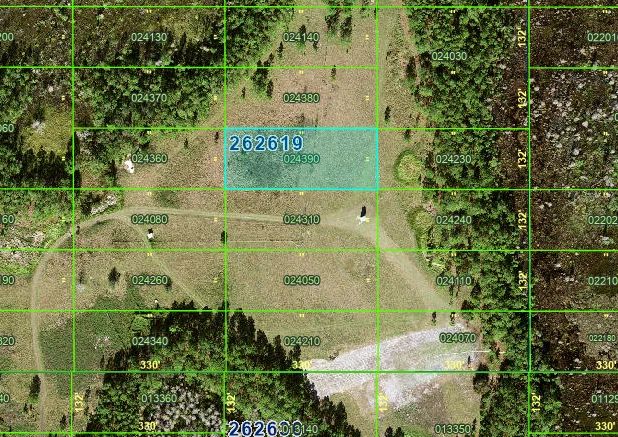 Decorative background for 1 Acre for the Patient Investor — Own It Now, Watch What Happens Later image 7