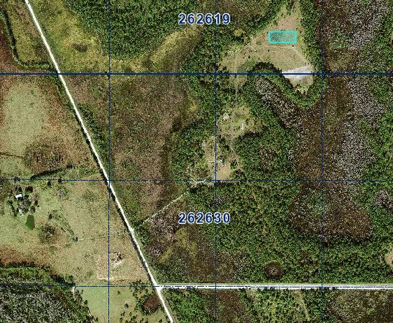 1 Acre for the Patient Investor — Own It Now, Watch What Happens Later - Image 3