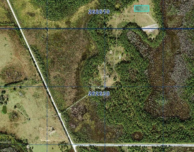 1 Acre for the Patient Investor — Own It Now, Watch What Happens Later - Image 2