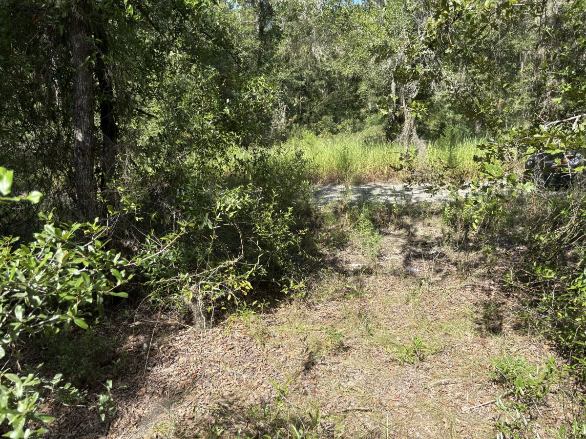 Build Toward a Simpler FL Life Affordably with Vacant Land - Image 3