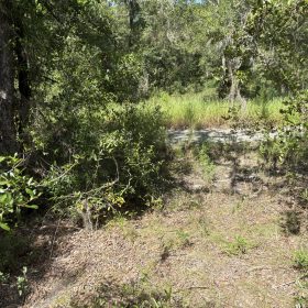 Build Toward a Simpler FL Life Affordably with Vacant Land in Levy County, FL