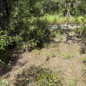 Build Toward a Simpler FL Life Affordably with Vacant Land in Levy County, FL