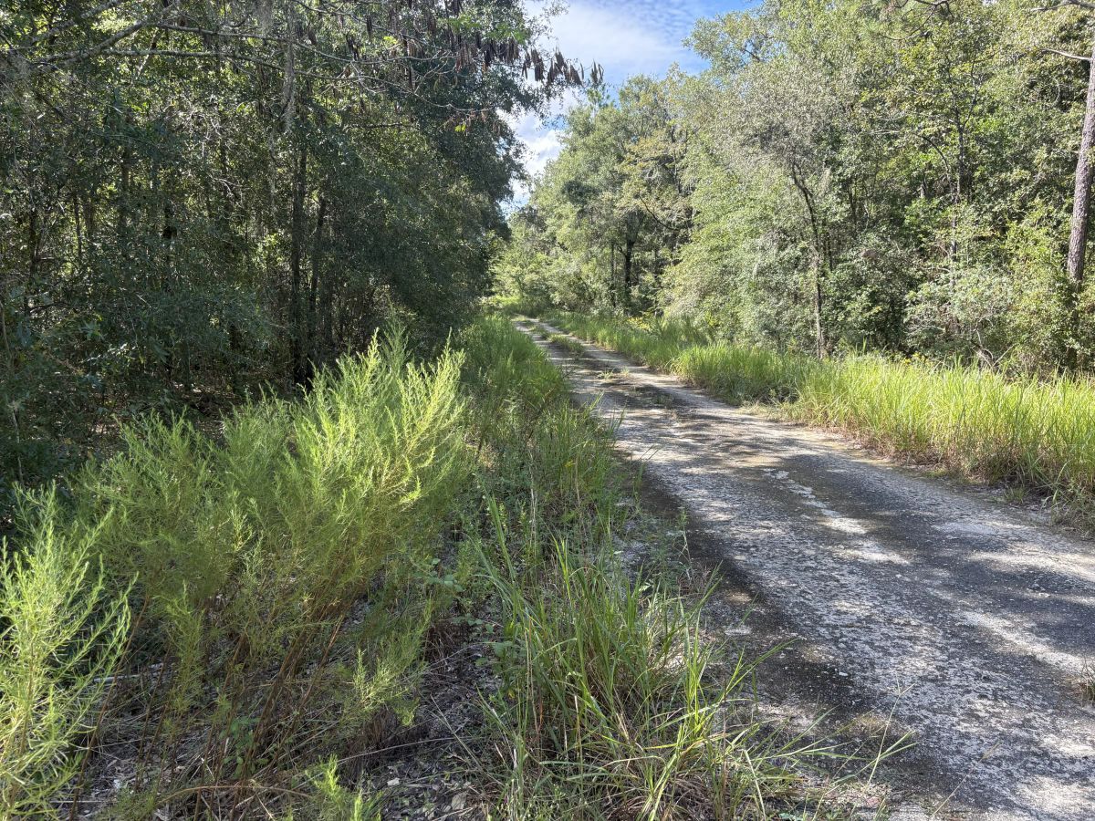 Build Toward a Simpler FL Life Affordably with Vacant Land - Main image