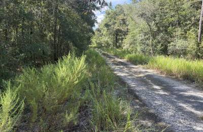Build Toward a Simpler FL Life Affordably with Vacant Land