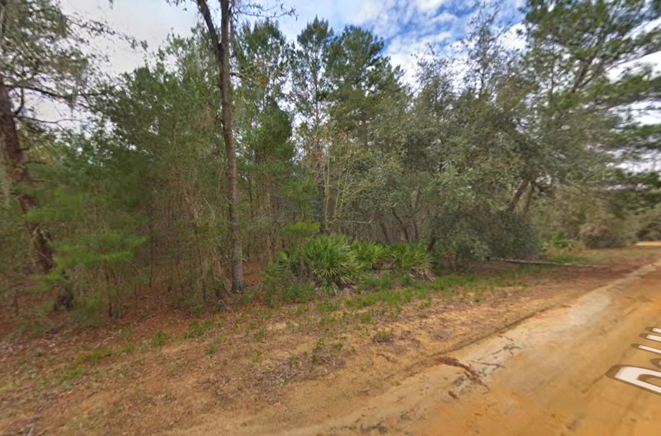 0.43 Acre Land for Sale for Homestead in Putnam County, FL