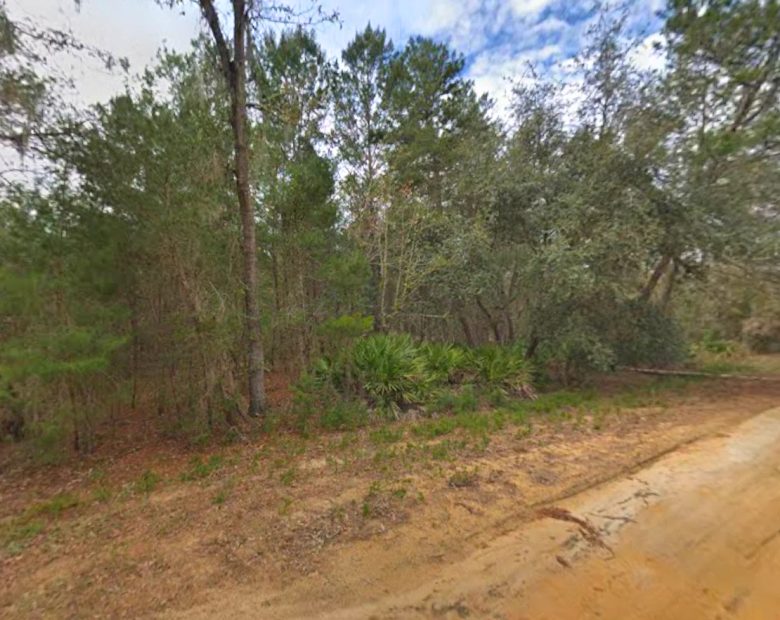 0.43 Acre Land for Sale for Homestead in Putnam County, FL