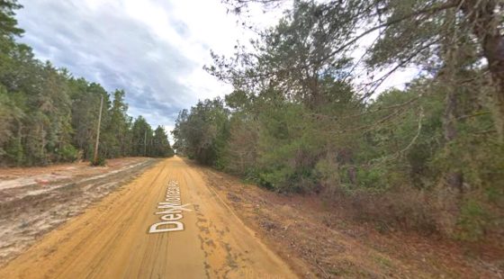 0.43 Acre Land for Sale for Homestead in Putnam County, FL