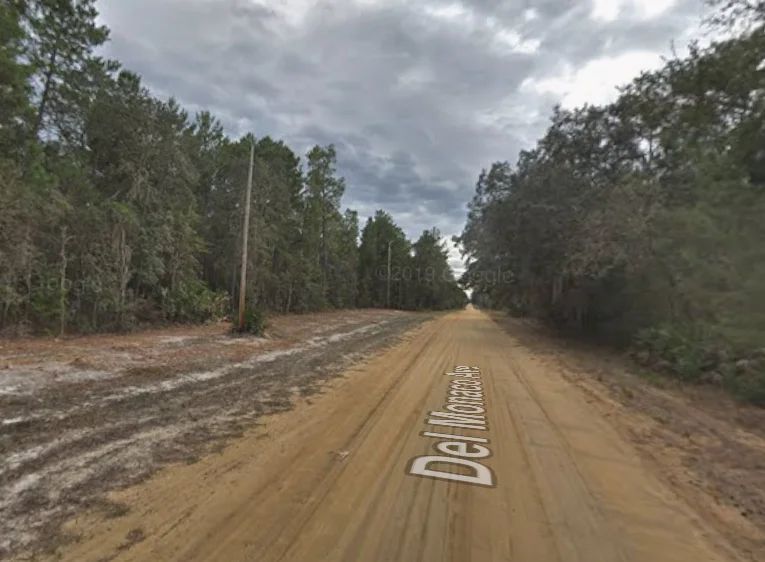 Decorative background for 0.43 Acre Land for Sale for Homestead image 5