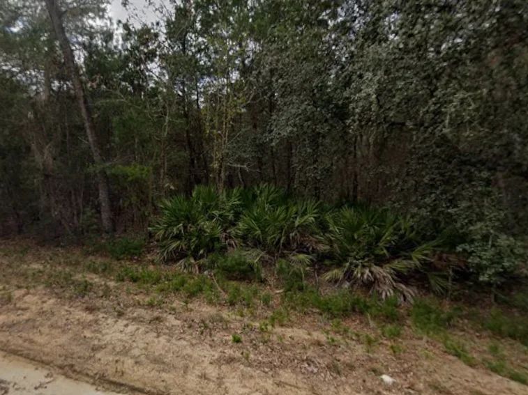0.43 Acre Land for Sale for Homestead in Putnam County, FL