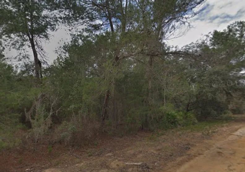 Decorative background for 0.43 Acre Land for Sale for Homestead image 6