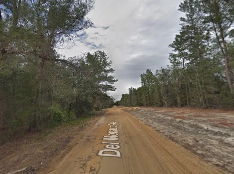 Decorative background for 0.43 Acre Land for Sale for Homestead image 7