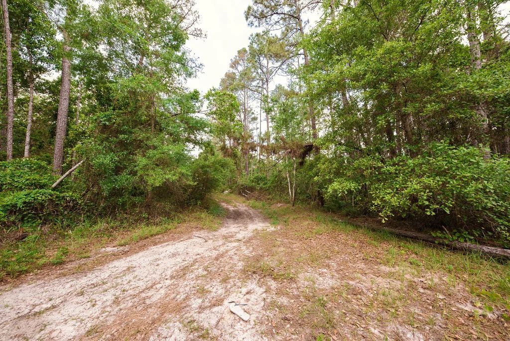 Buy .46 Acres w/o Breaking the Bank - Main image