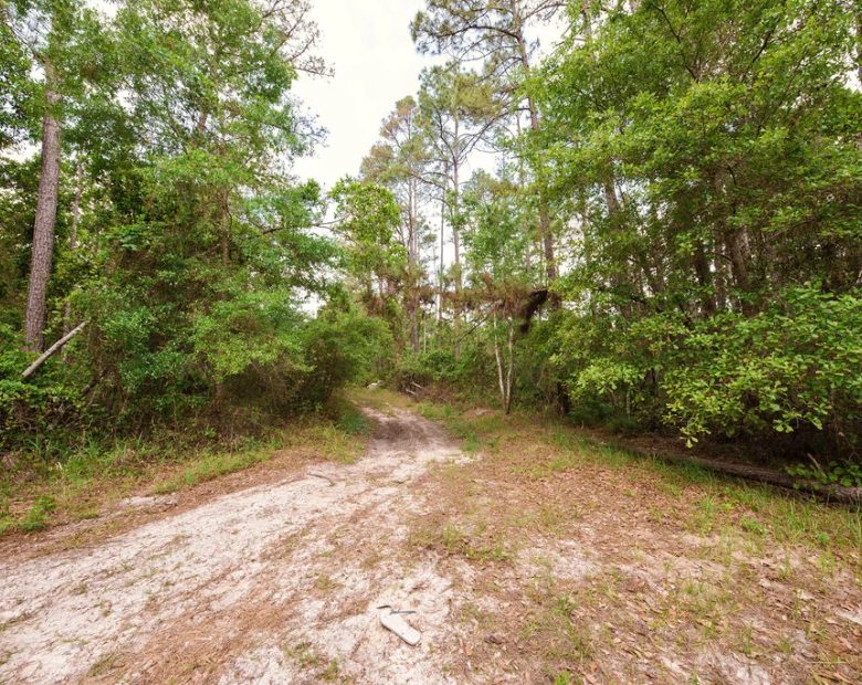 Buy .46 Acres w/o Breaking the Bank in Putnam County, FL
